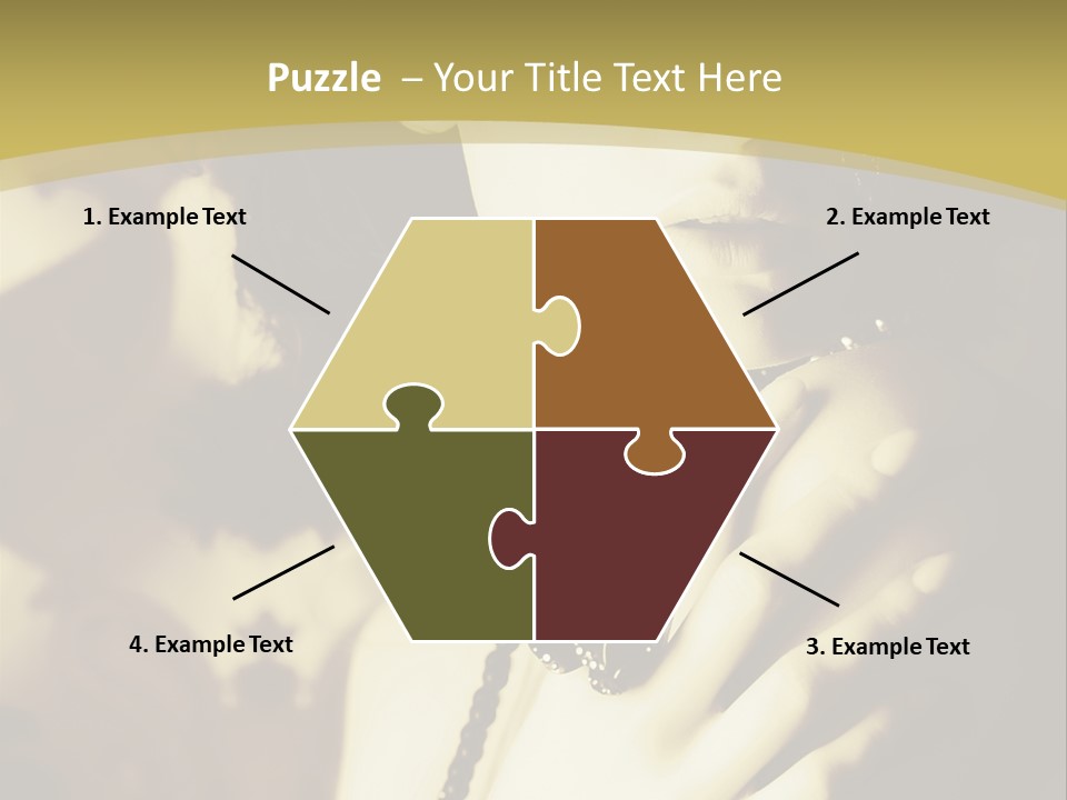 Glamour Net Portrait PowerPoint Template