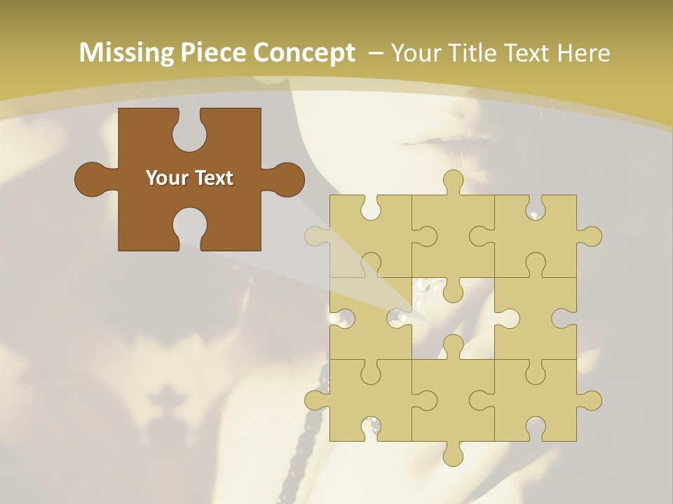 Glamour Net Portrait PowerPoint Template