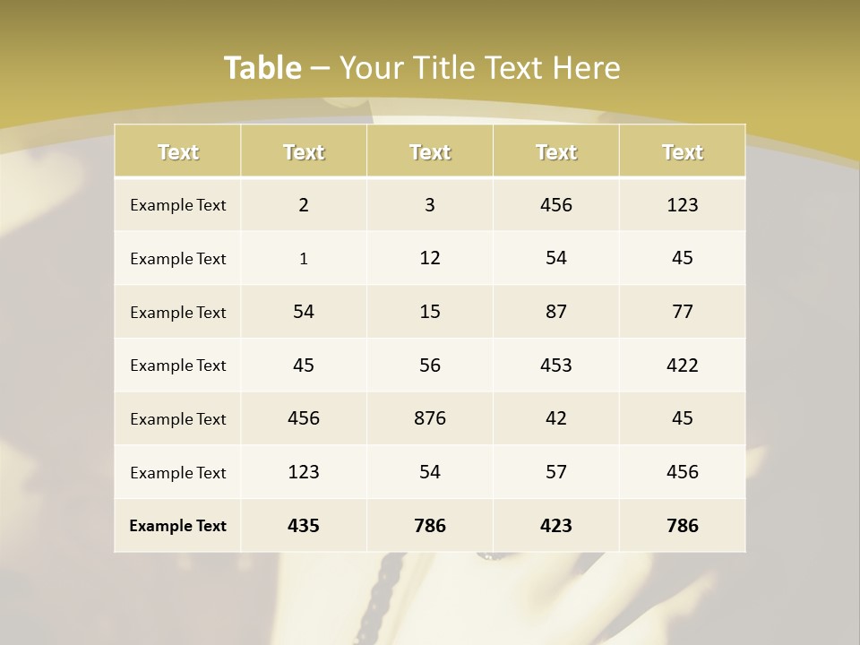 Glamour Net Portrait PowerPoint Template