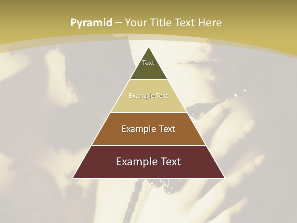 Glamour Net Portrait PowerPoint Template