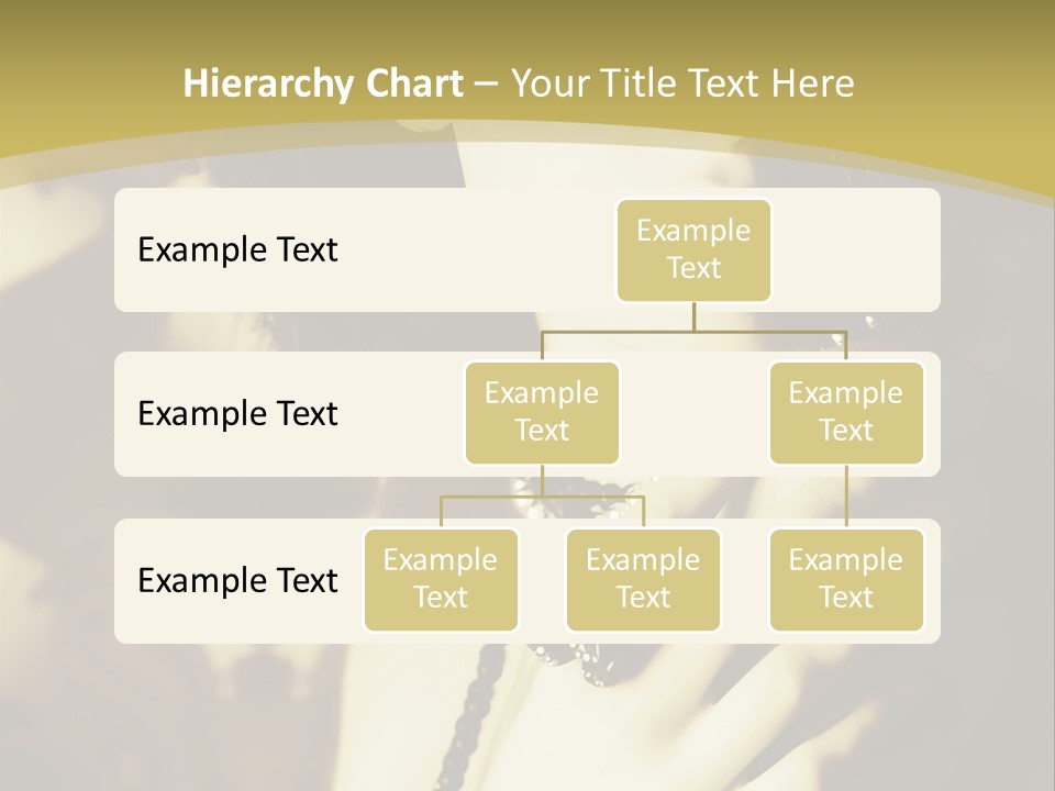Glamour Net Portrait PowerPoint Template