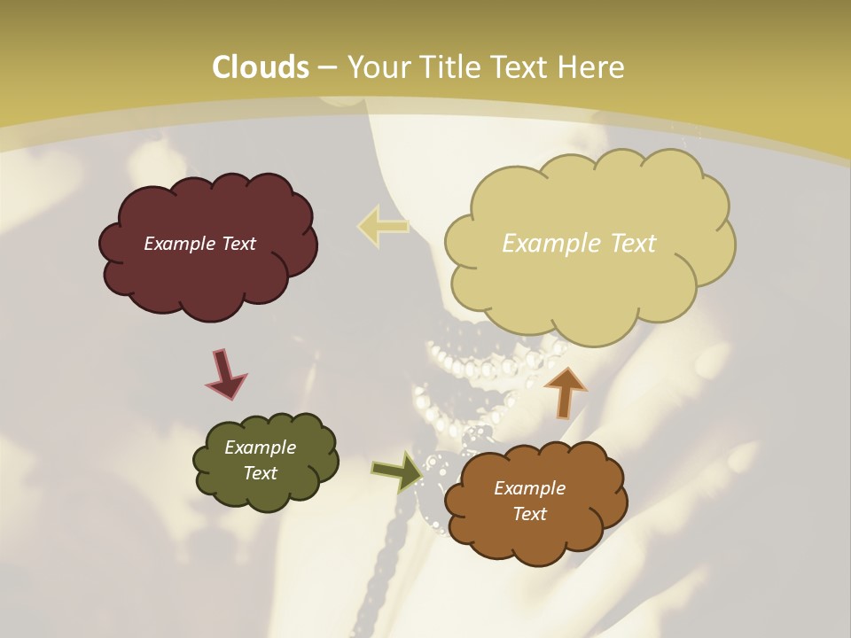 Glamour Net Portrait PowerPoint Template