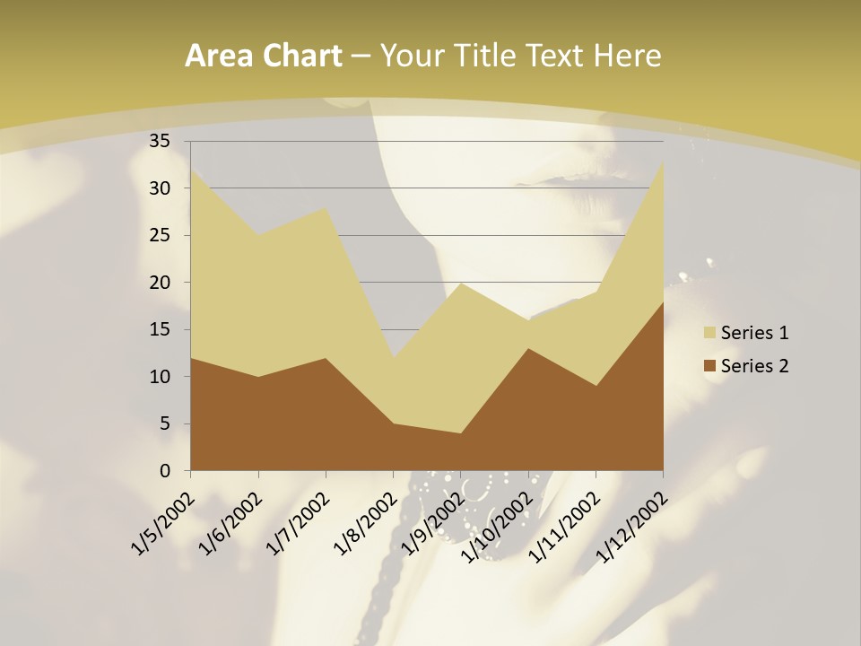 Glamour Net Portrait PowerPoint Template