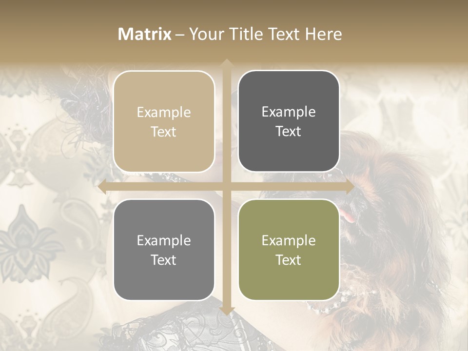 Elegant Model Portrait PowerPoint Template