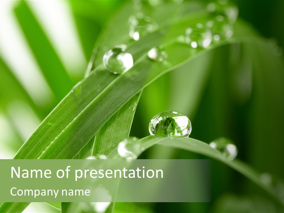 Grass Small Freshness PowerPoint Template