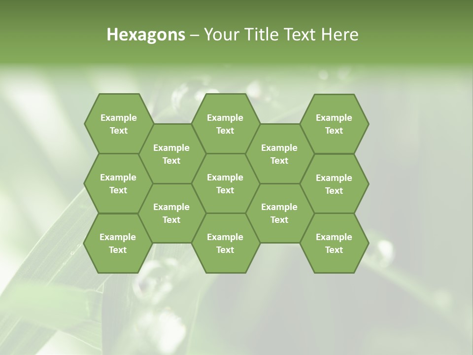 Grass Small Freshness PowerPoint Template