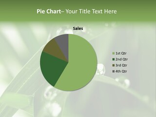 Grass Small Freshness PowerPoint Template