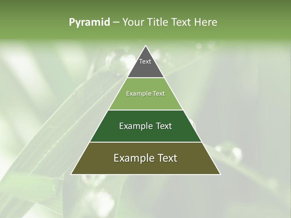 Grass Small Freshness PowerPoint Template