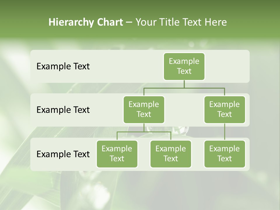 Grass Small Freshness PowerPoint Template