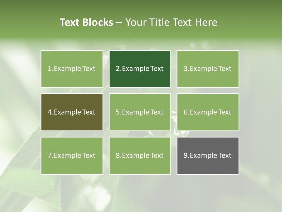 Grass Small Freshness PowerPoint Template