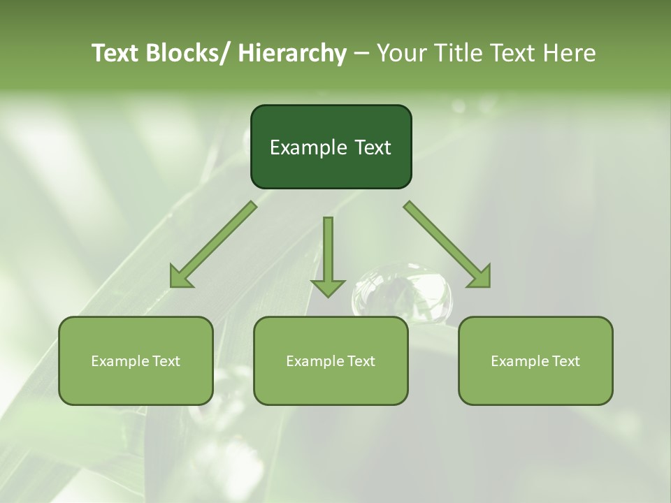 Grass Small Freshness PowerPoint Template