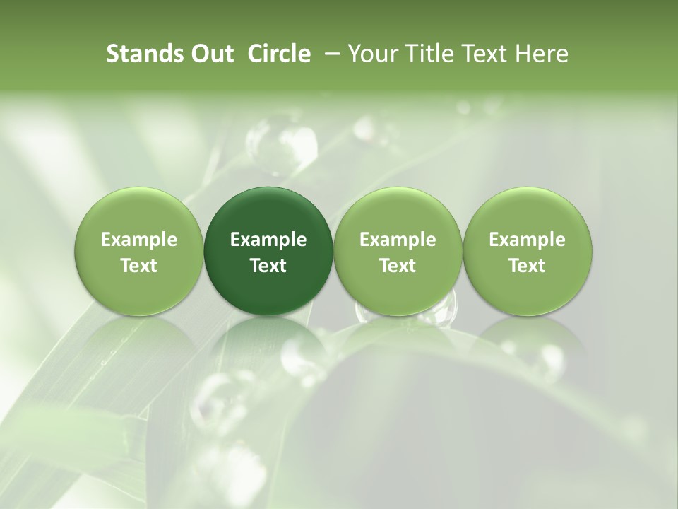 Grass Small Freshness PowerPoint Template