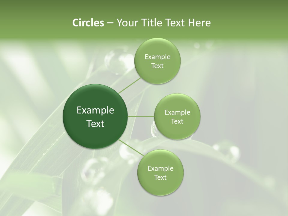 Grass Small Freshness PowerPoint Template