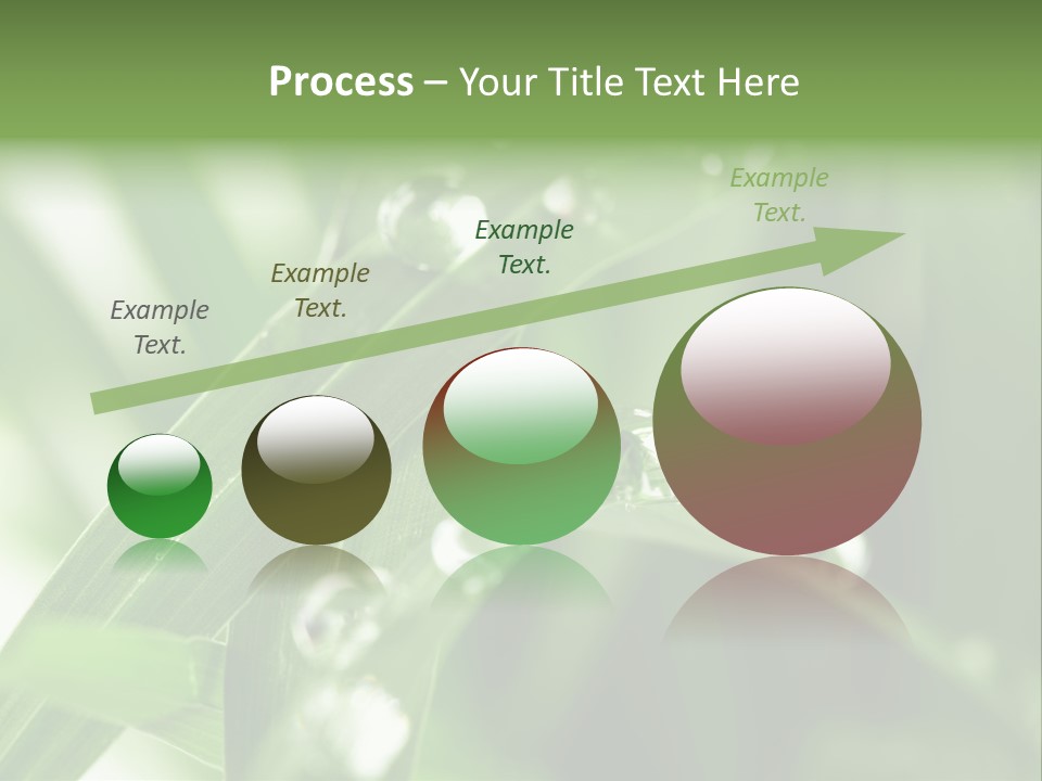 Grass Small Freshness PowerPoint Template