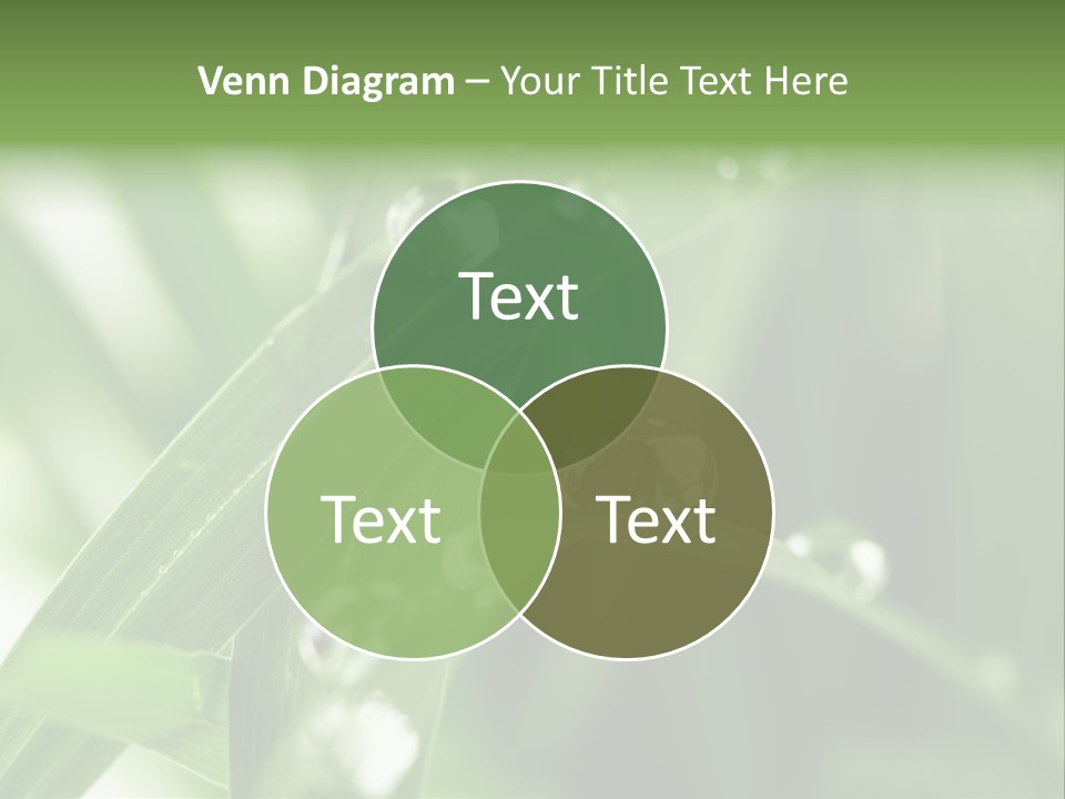 Grass Small Freshness PowerPoint Template