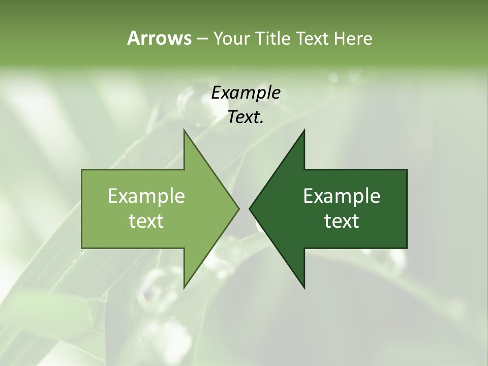 Grass Small Freshness PowerPoint Template