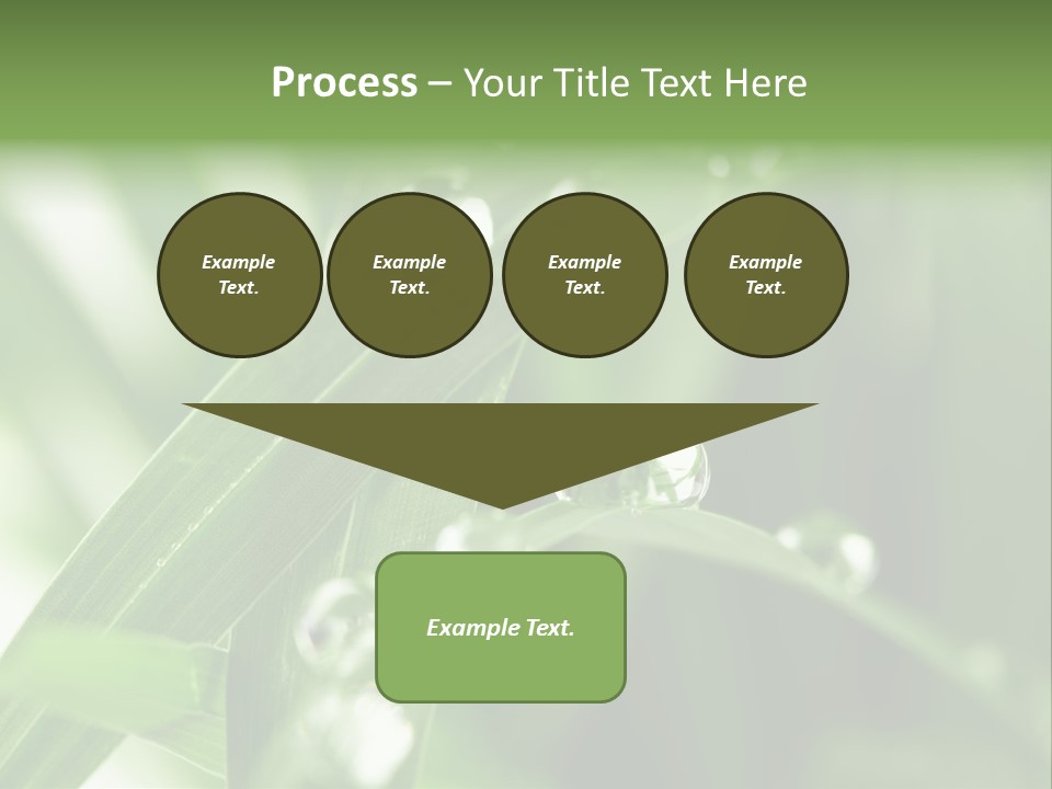 Grass Small Freshness PowerPoint Template
