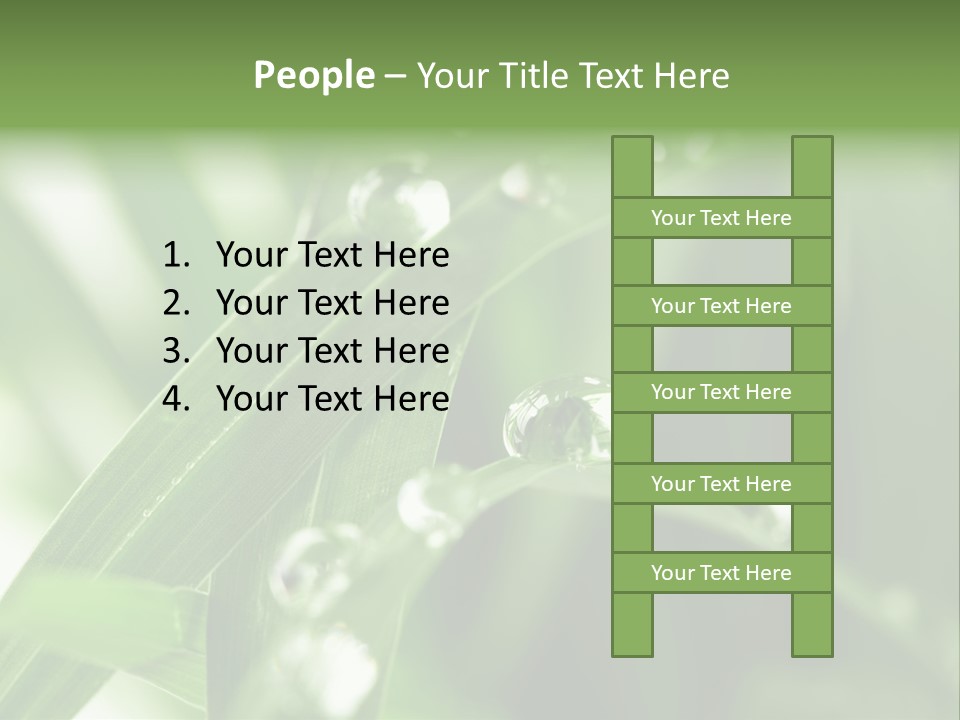 Grass Small Freshness PowerPoint Template