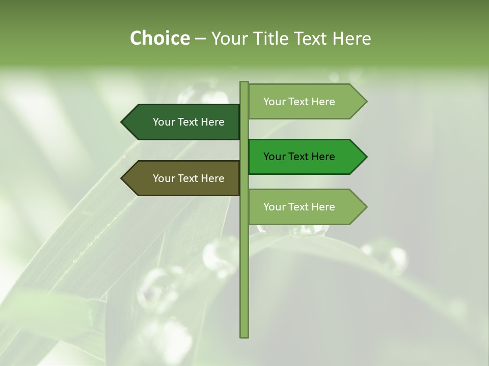Grass Small Freshness PowerPoint Template