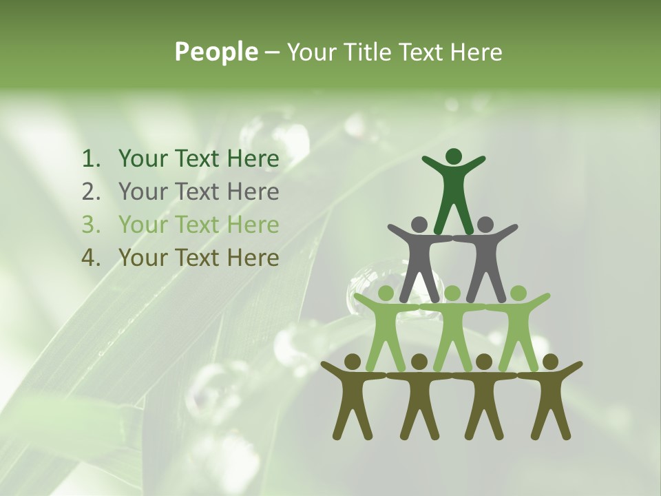 Grass Small Freshness PowerPoint Template