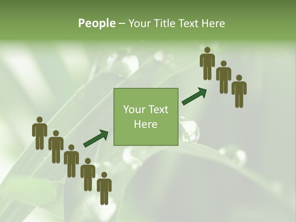 Grass Small Freshness PowerPoint Template