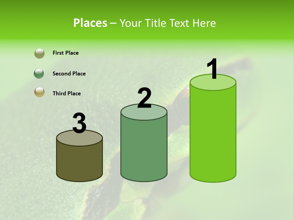 Red Lifestyle Flower PowerPoint Template