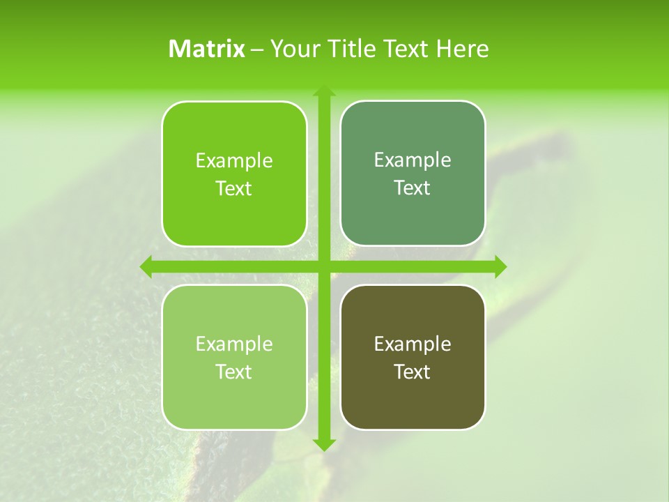 Red Lifestyle Flower PowerPoint Template