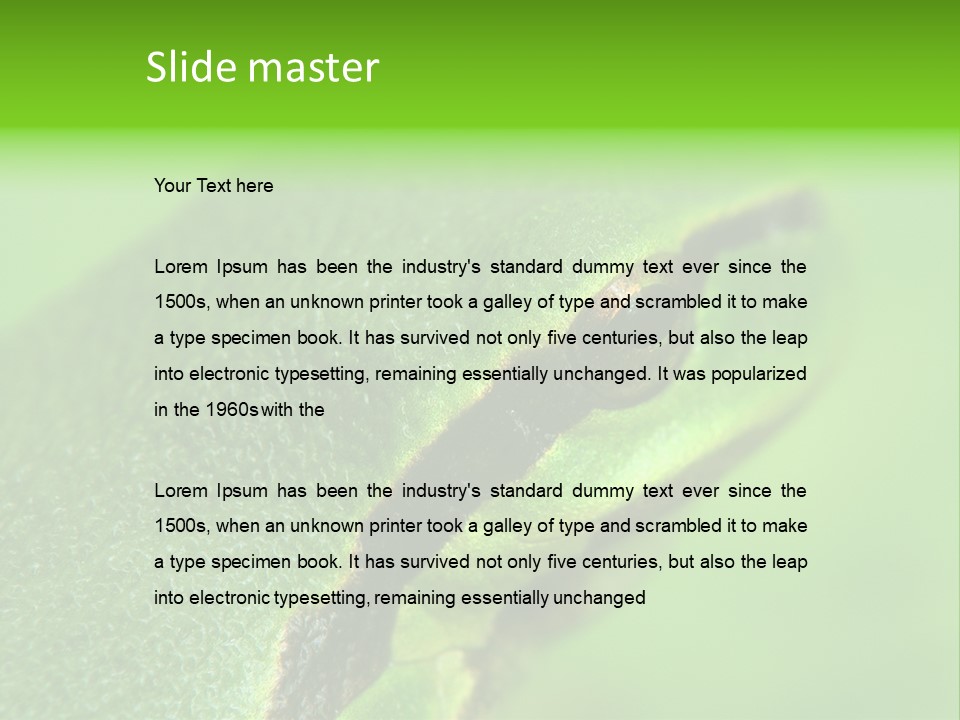 Red Lifestyle Flower PowerPoint Template