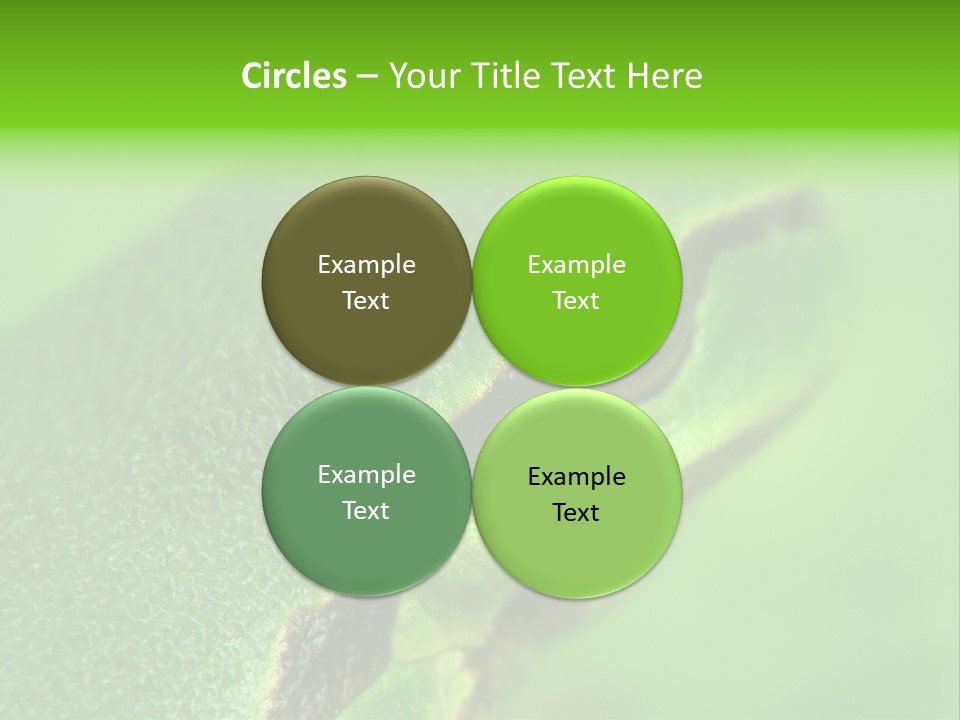 Red Lifestyle Flower PowerPoint Template