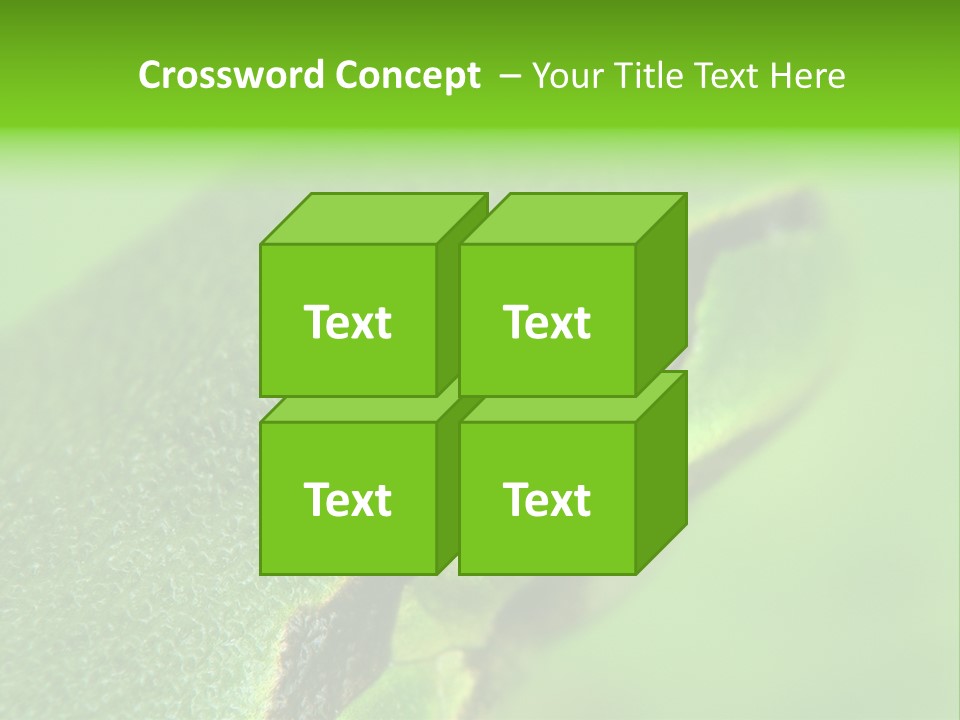 Red Lifestyle Flower PowerPoint Template