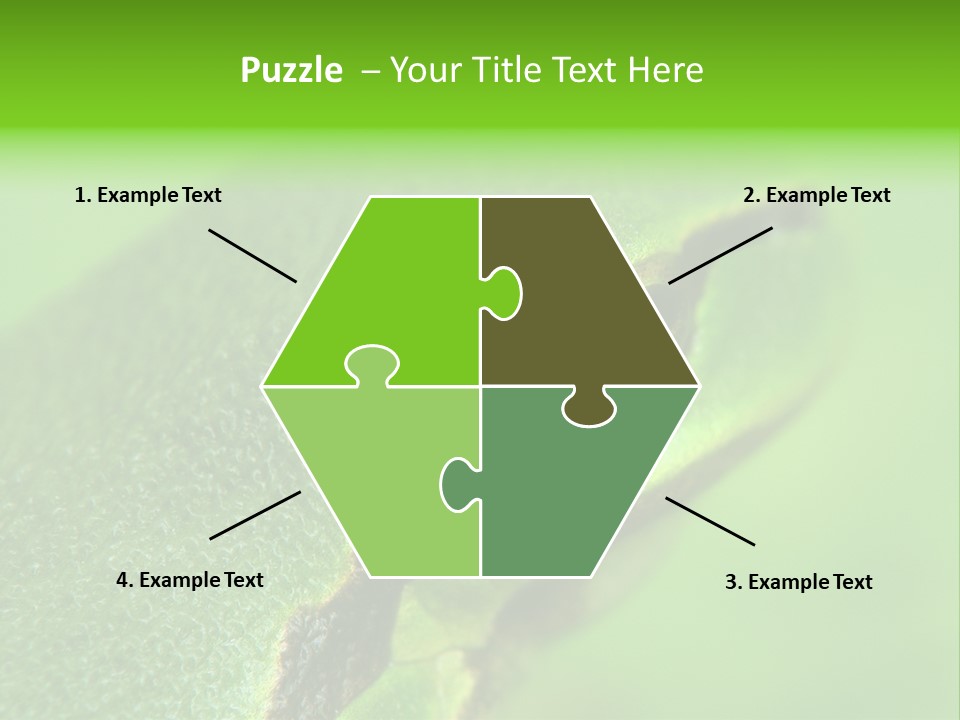 Red Lifestyle Flower PowerPoint Template