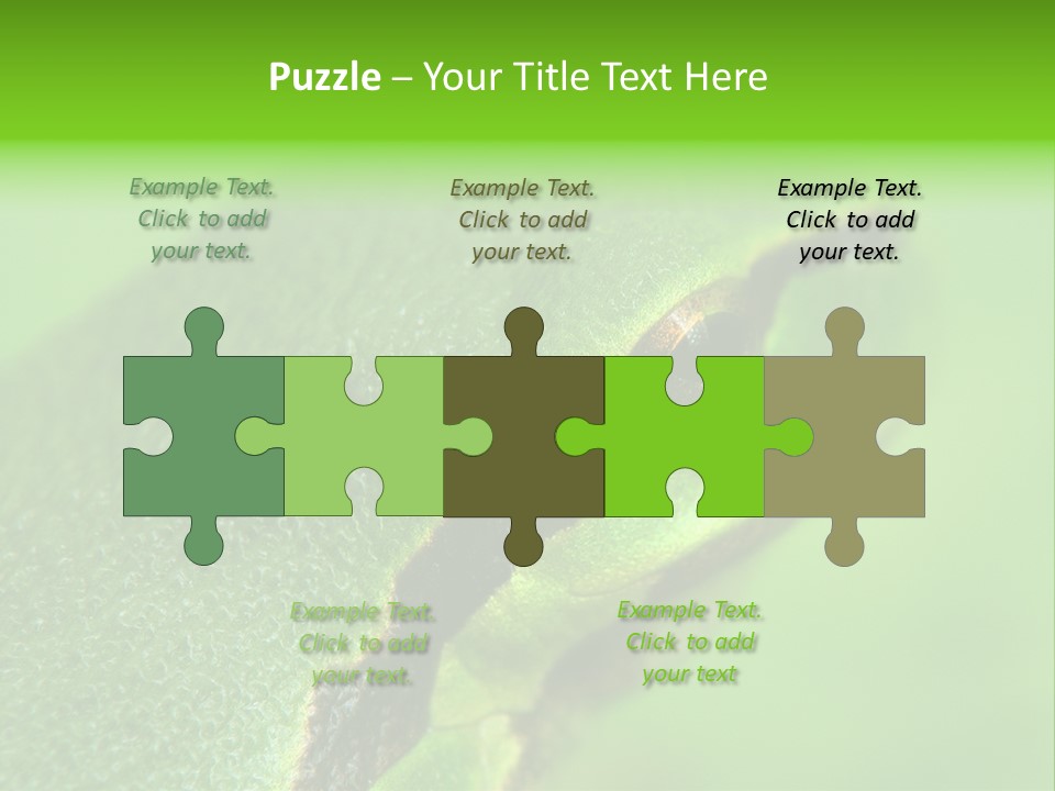 Red Lifestyle Flower PowerPoint Template