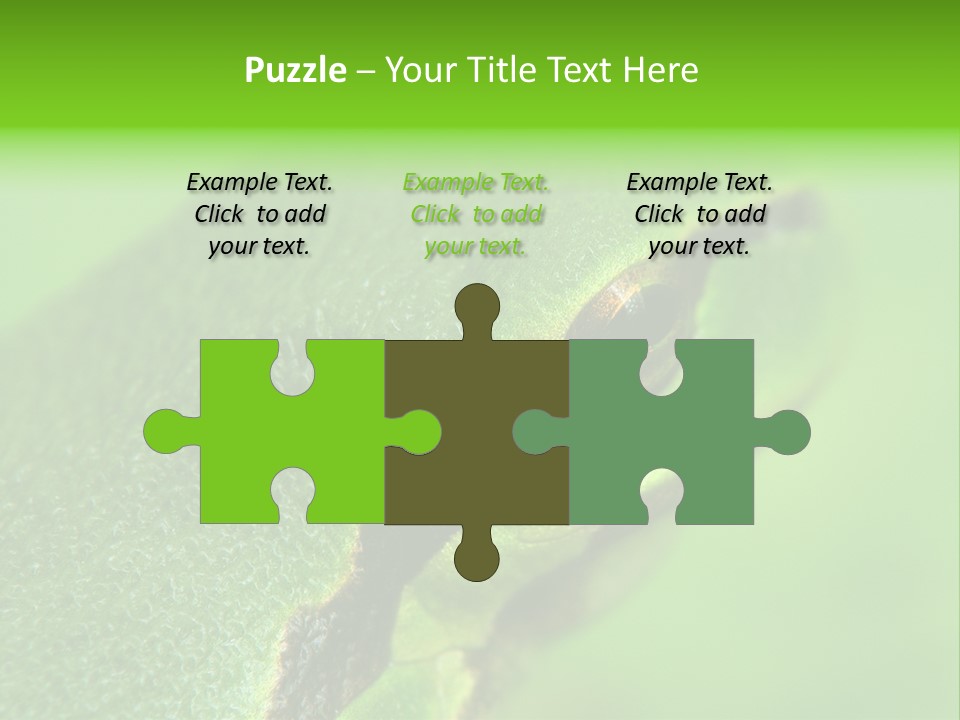 Red Lifestyle Flower PowerPoint Template