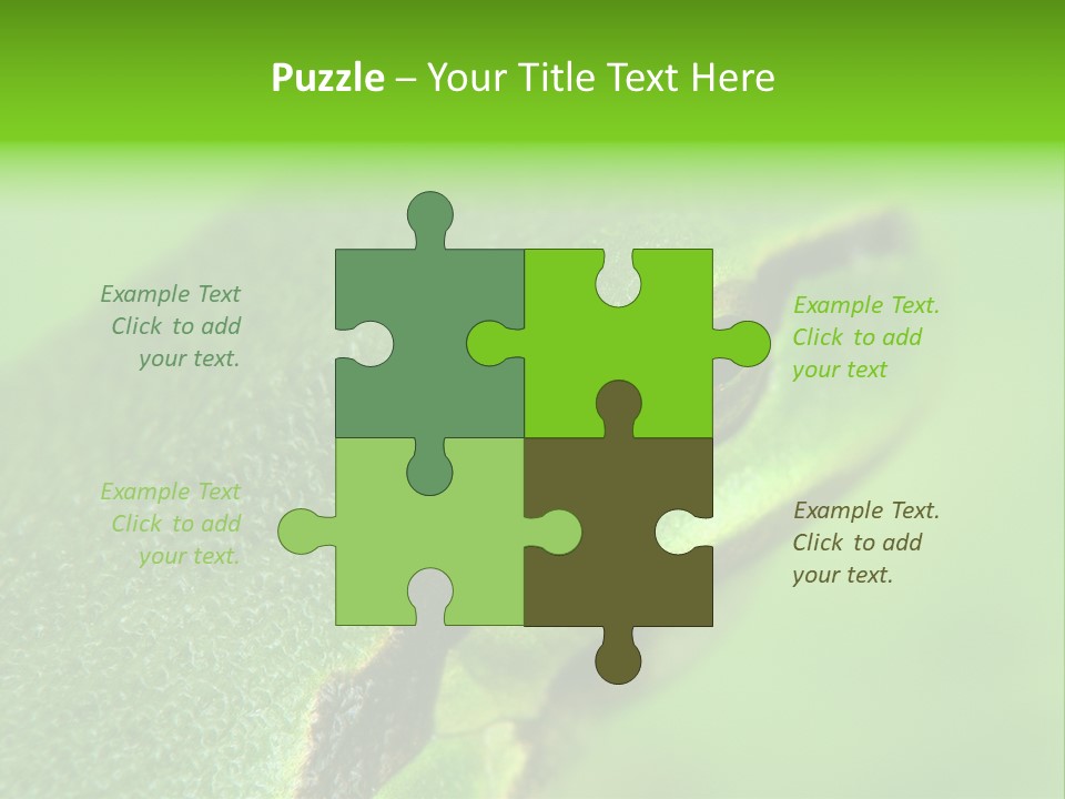 Red Lifestyle Flower PowerPoint Template