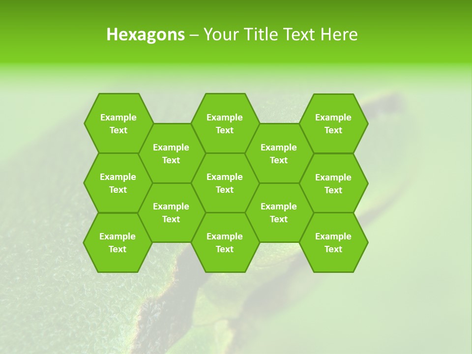 Red Lifestyle Flower PowerPoint Template