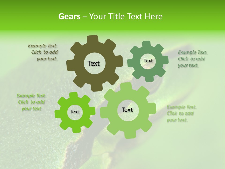 Red Lifestyle Flower PowerPoint Template