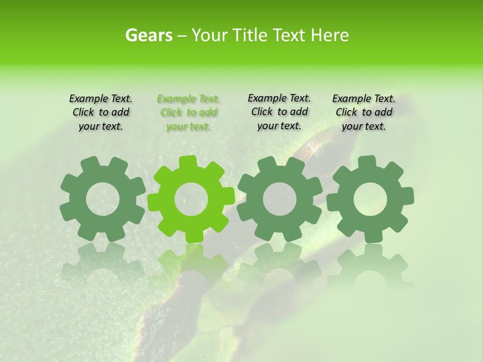 Red Lifestyle Flower PowerPoint Template