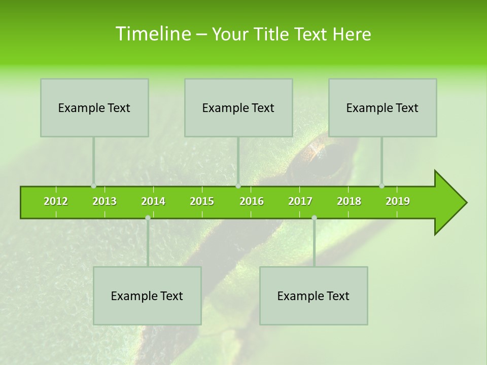 Red Lifestyle Flower PowerPoint Template