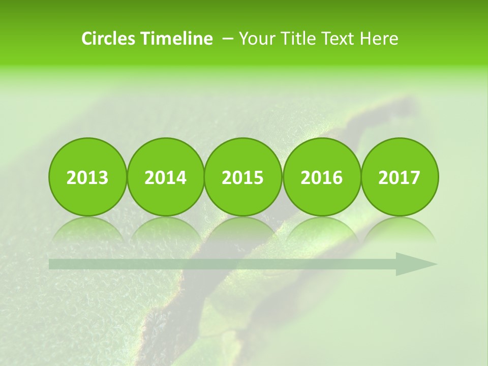 Red Lifestyle Flower PowerPoint Template