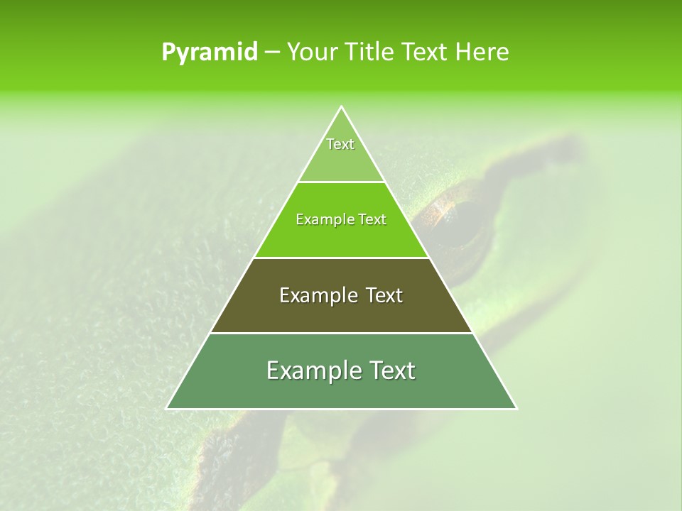 Red Lifestyle Flower PowerPoint Template