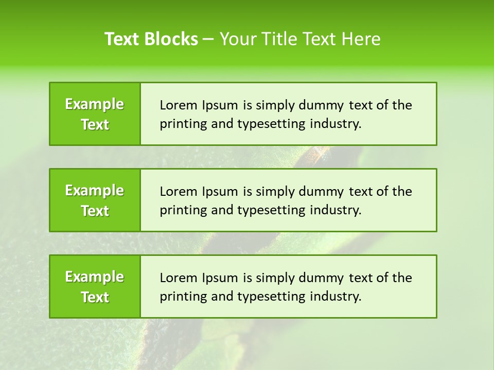 Red Lifestyle Flower PowerPoint Template