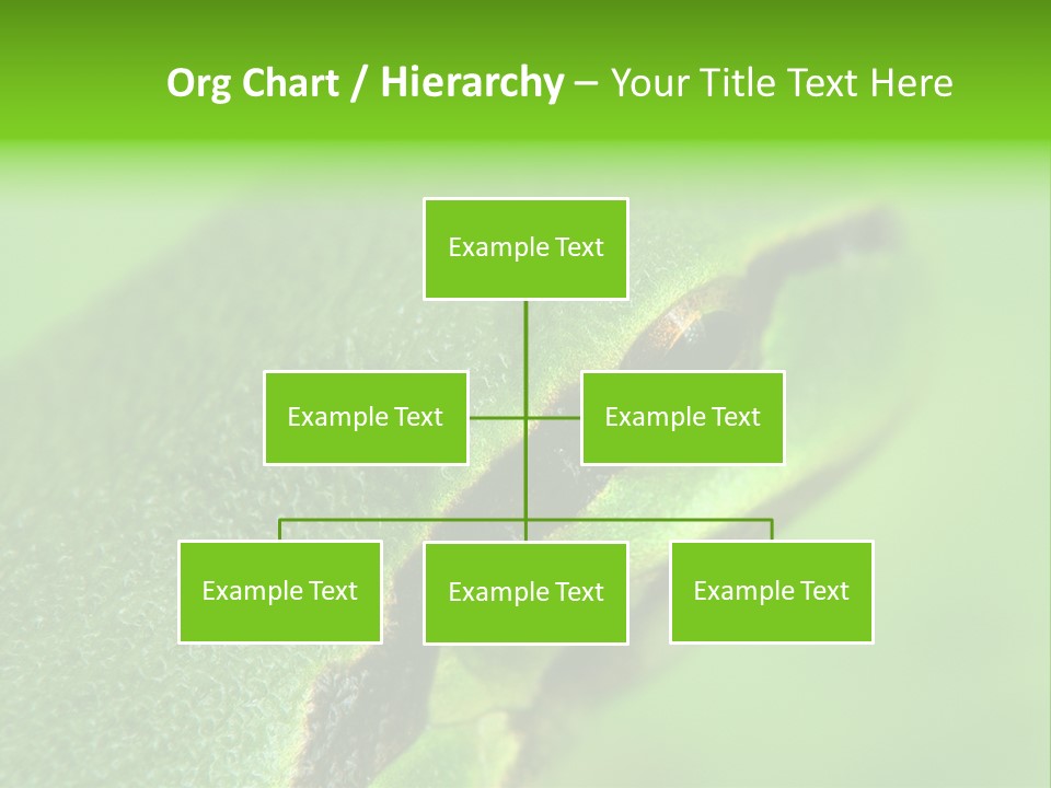 Red Lifestyle Flower PowerPoint Template