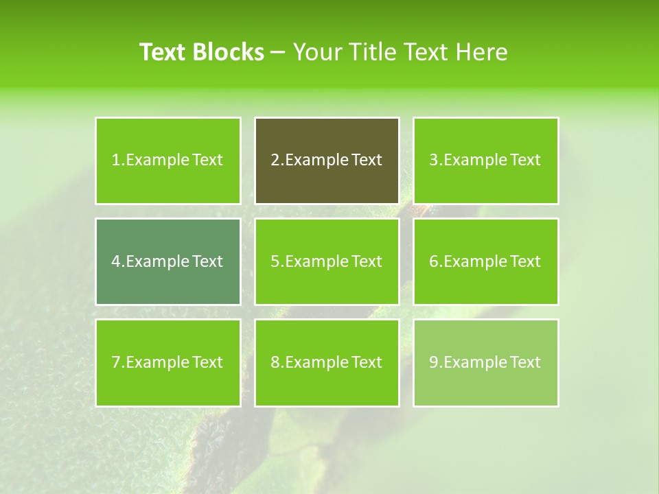 Red Lifestyle Flower PowerPoint Template