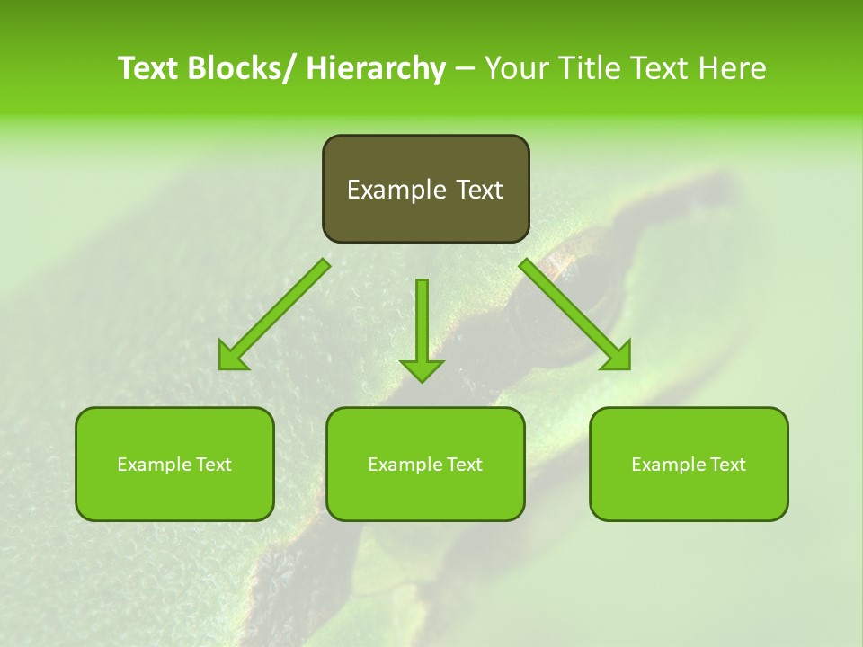 Red Lifestyle Flower PowerPoint Template