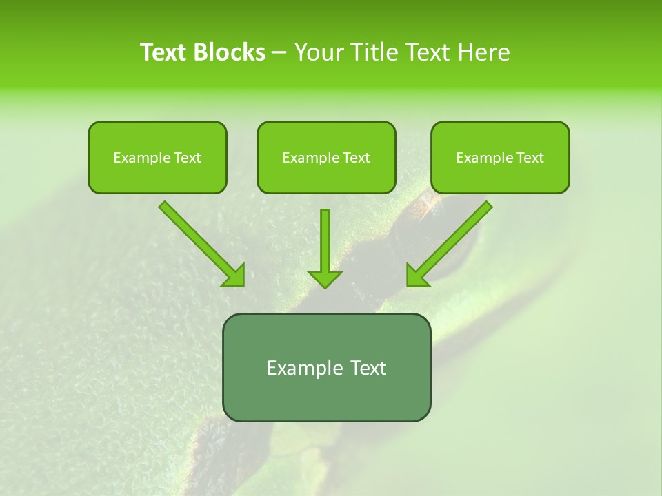 Red Lifestyle Flower PowerPoint Template