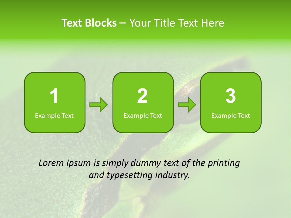 Red Lifestyle Flower PowerPoint Template