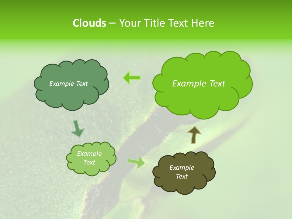 Red Lifestyle Flower PowerPoint Template