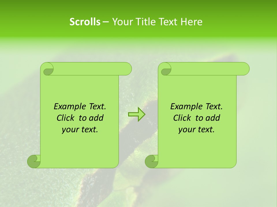 Red Lifestyle Flower PowerPoint Template