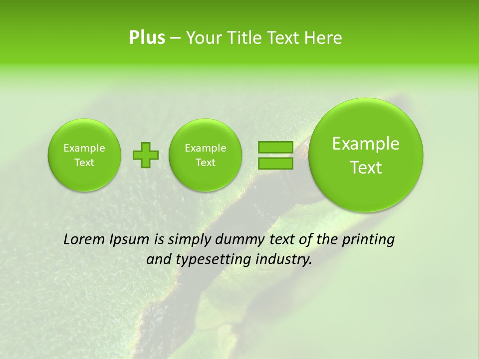 Red Lifestyle Flower PowerPoint Template