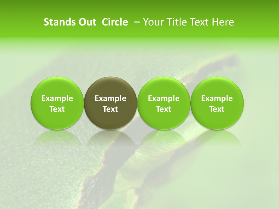 Red Lifestyle Flower PowerPoint Template